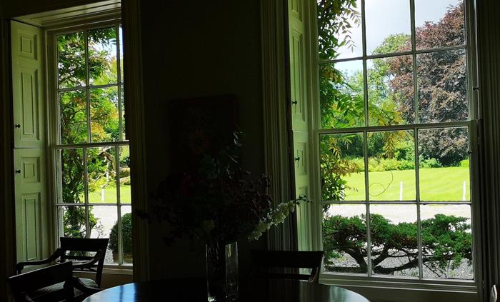 Looking out to the view of our mighty 900 year old oak tree.
